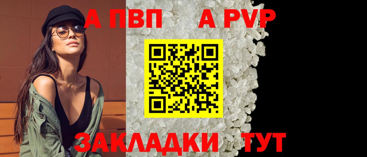 Альфа ПВП СК Кингисепп