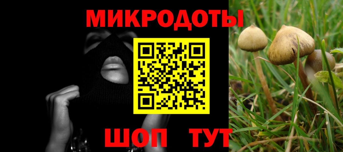 Псилоцибиновые грибы MAGIC MUSHROOMS  Галлюциногенные грибы Magic Shrooms  Кингисепп  Вход с VPN 
